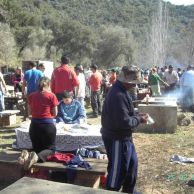 288803-dia-de-andalucia-